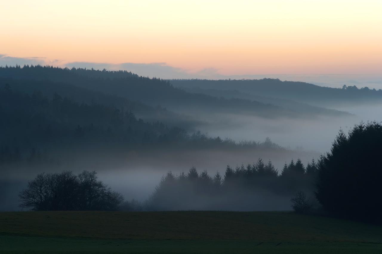Weingut Hees - Landgasthof Zum Jaeger Aus Kurpfalz Auen Экстерьер фото