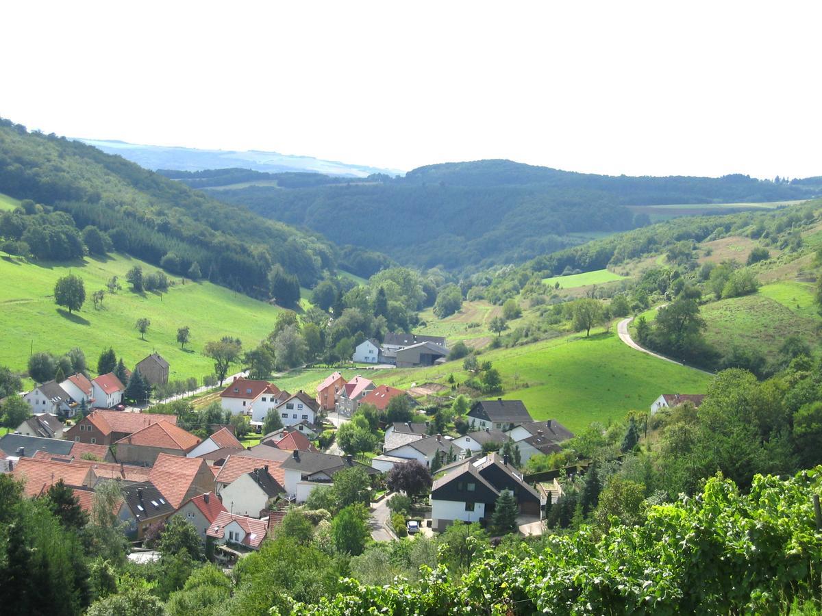 Weingut Hees - Landgasthof Zum Jaeger Aus Kurpfalz Auen Экстерьер фото